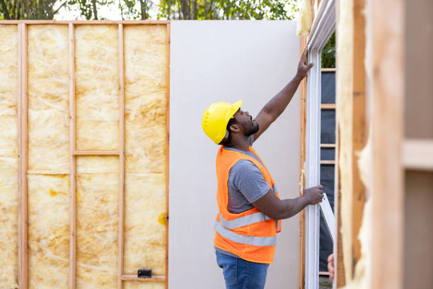 Best Home Insulation Services  in Franklin, GA